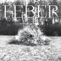 Feber
