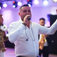 Am un puișor de brad acasă - Live