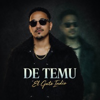 De TEMU