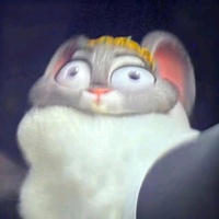 Lofi chiu chiu,