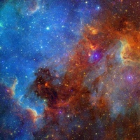 Zelda