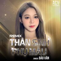 Thân Sinh Phụ Mẫu - Quý Nhỏ Remix Cut