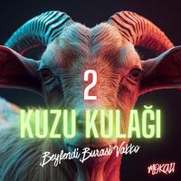 2 Kuzu Kulağı Beyfendi Burası Vakko