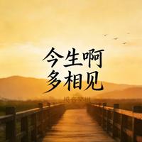 今生啊 多相见 - 思念版