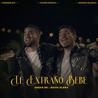Te extraño bebe