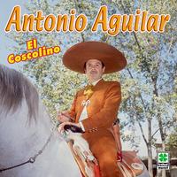 Sangre Caliente