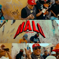 Malo