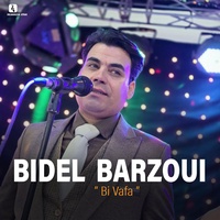 Bi Vafa