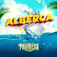 Alberca Tribal