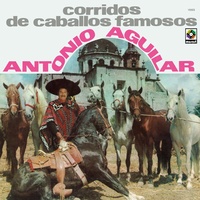 El Siete Leguas