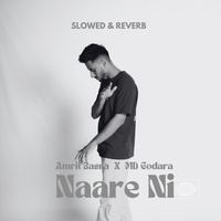 Naare Ni