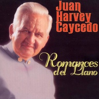 El Ocaso De Un Llanero