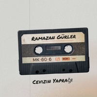 Yüce Dağ Başında Üzüm Kol Atmış