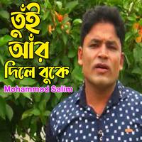 তুঁই আঁর দিলে বুকে