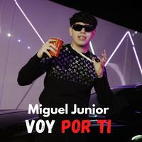 Voy Por Ti