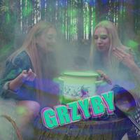 Grzyby