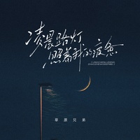 凌晨路灯照着我的疲惫