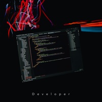Developer