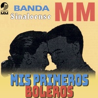 Vuela Paloma