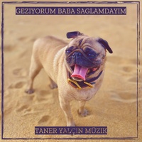Geziyorum Baba Saglamdayim