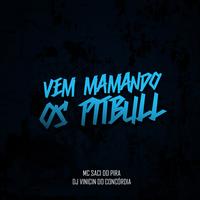Vem Mamando os Pitbull