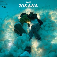 Tokana