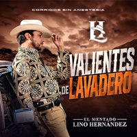 Valientes De Lavadero