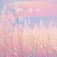 跳楼机(DJ-lucky小阳版)片段