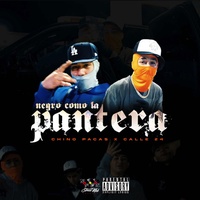 Negro Como La Pantera