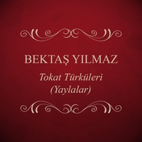 Ay İlen Güneş