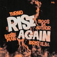 Rise Again (feat. Tiggs Da Author)