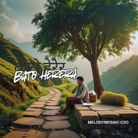 Bato Herera (बाटो हेरेर)