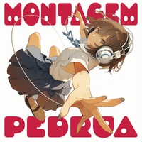 MONTAGEM PEDRUA (Slowed)