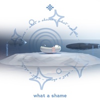 what a shame - acoustic