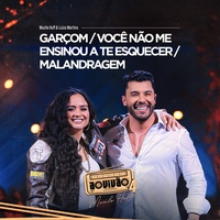 Garçom / Você Não Me Ensinou a Te Esquecer / Malandragem - Ao Vivo