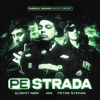 PE STRADĂ