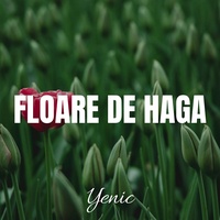 Floare De Haga
