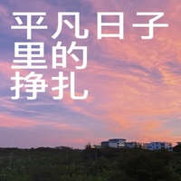 平凡日子里的挣扎 - 深情版