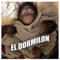 El Dormilon