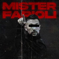 MISTER FARIOLI