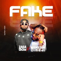 Fake - Zaga Boy feat Wandjan Dimedi