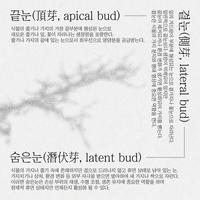 우리는 아직 꿈을 꾸며 방황하고 있죠