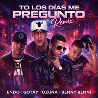 To los Dias Me Pregunto - Remix