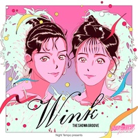 Aiga Tomaranai Turn It Into Love (Night Tempo Showa Groove Mix)