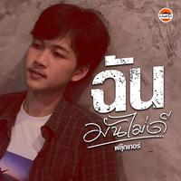 ฉันมันไม่ดี - Preview