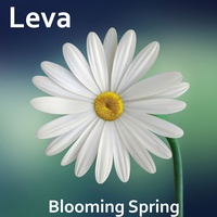 Blooming Spring