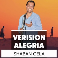 orkestrale shabani klarinet