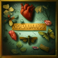 Бабочка