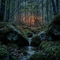 First Flow-E Major-Forest Echo (Track 4)