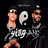 Ying Yang